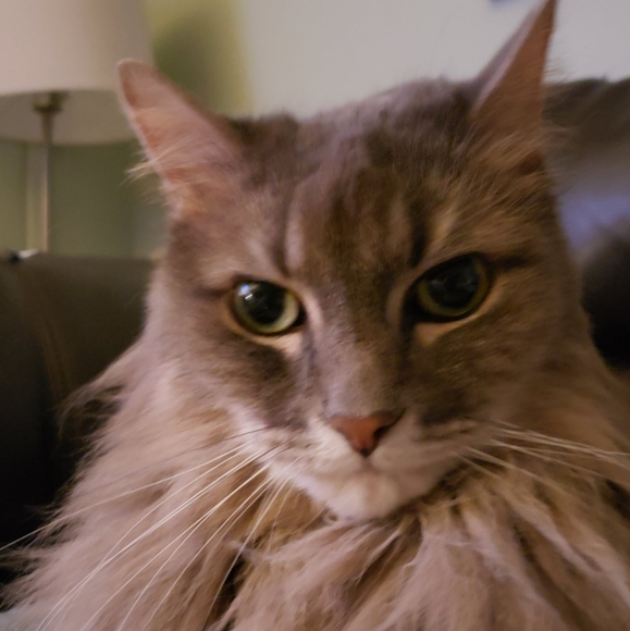 Meet your Posher, Katrin - Picture 5 of 5